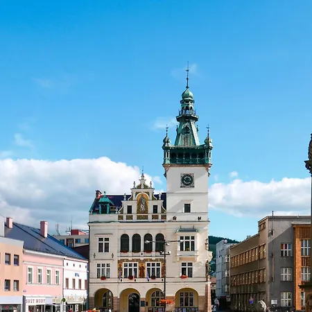 By Interhome Starkov (Hradec Kralove)